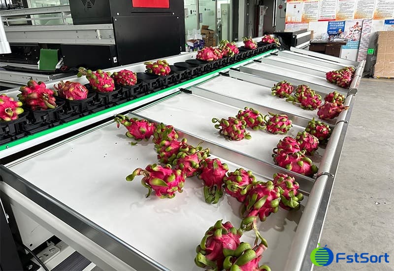 images/1714983380159dragon fruit sorting machine.jpg